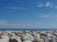 38862CrLeBe - Biking with Beth along the Waterfront Trail, from Petticoat Creek.JPG